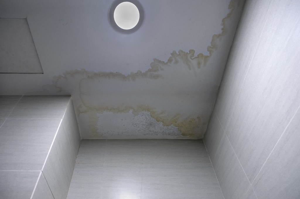 Ceiling mold before professional remediation